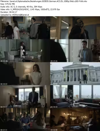 Diplomatische Beziehungen S03E05 German AC3 DL 1080p Web x265-FuN