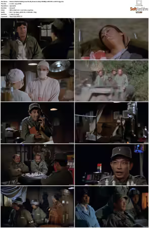 M.A.S.H. S01-S11 1080p WEBRip 10Bit DD2.0 HEVC-d3g