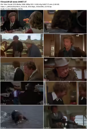Silver Streak 1976 BluRay 10Bit 1080p DD5.1 H265-d3g