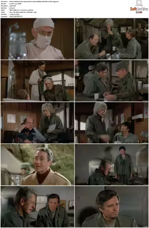 M.A.S.H. S01-S11 1080p WEBRip 10Bit DD2.0 HEVC-d3g