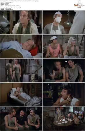 M.A.S.H. S01-S11 1080p WEBRip 10Bit DD2.0 HEVC-d3g
