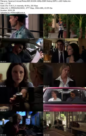 Criminal Minds 2005 S01E04 1080p DSNP Webrip DDP5 1 x265-Vialle