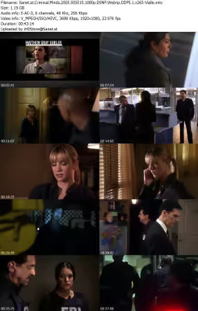 Criminal Minds 2005 S05E15 1080p DSNP Webrip DDP5 1 x265-Vialle