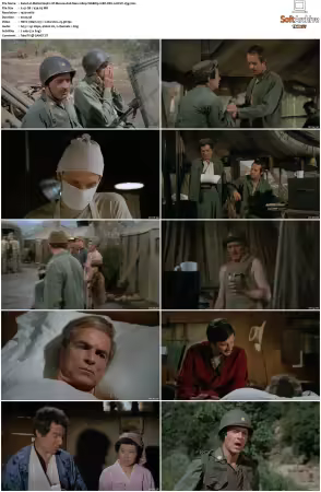 M.A.S.H S04 1080p WEBRip 10Bit DD2.0 HEVC-d3g