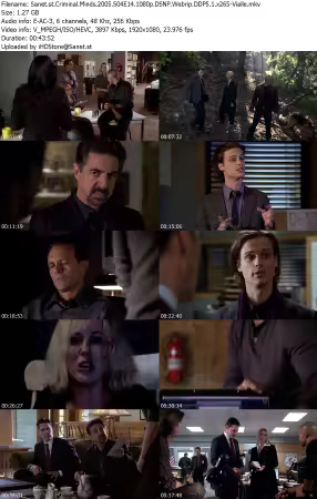 Criminal Minds 2005 S04E14 1080p DSNP Webrip DDP5 1 x265-Vialle