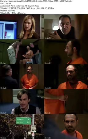 Criminal Minds 2005 S02E10 1080p DSNP Webrip DDP5 1 x265-Vialle