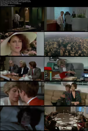The Secret of My Success 1987 720p WEB h264-NoRBiT