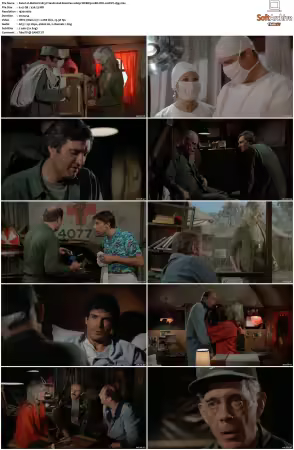 M.A.S.H. S01-S11 1080p WEBRip 10Bit DD2.0 HEVC-d3g