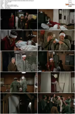 M.A.S.H. S01-S11 1080p WEBRip 10Bit DD2.0 HEVC-d3g