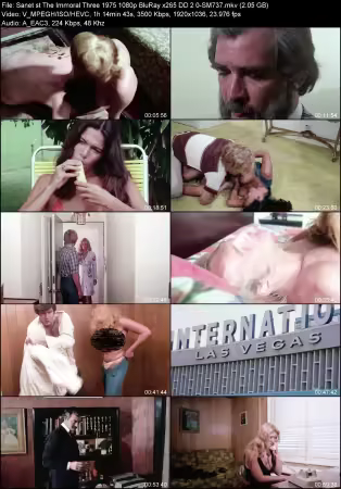 The Immoral Three 1975 1080p BluRay x265 DD 2.0-SM737