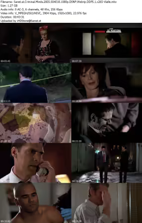 Criminal Minds 2005 S04E18 1080p DSNP Webrip DDP5 1 x265-Vialle