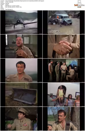 Black Sheep Squadron aka Baa Baa Black Sheep S02 1080p BluRay 10Bit DDP2 0 HEVC-d3g