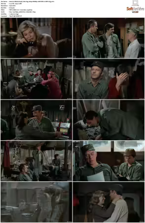 M.A.S.H. S01-S11 1080p WEBRip 10Bit DD2.0 HEVC-d3g