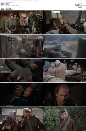 M.A.S.H. S01-S11 1080p WEBRip 10Bit DD2.0 HEVC-d3g