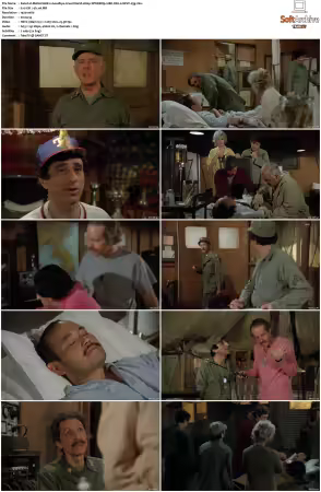 M.A.S.H S08 1080p WEBRip 10Bit DD2.0 HEVC-d3g