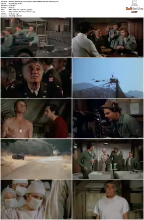 M.A.S.H S03 1080p WEBRip 10Bit DD2.0 HEVC-d3g