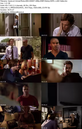 Criminal Minds 2005 S04E07 1080p DSNP Webrip DDP5 1 x265-Vialle
