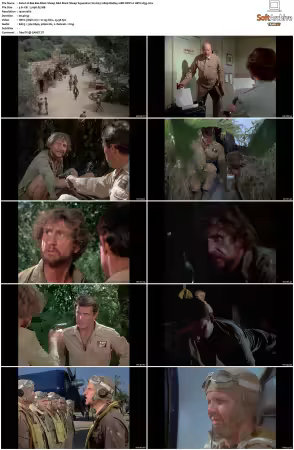 Baa Baa Black Sheep S01 1080p BluRay 10Bit DDP2.0 HEVC-d3g