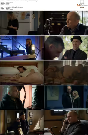 Veronica Mars S01-S04 1080p WEBRip 10Bit AAC2.0 HEVC-d3g