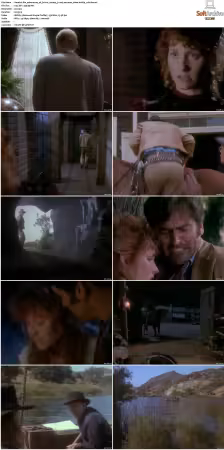 The Adventures Of Brisco County Jr. S01 DVDRip XviD-FoV
