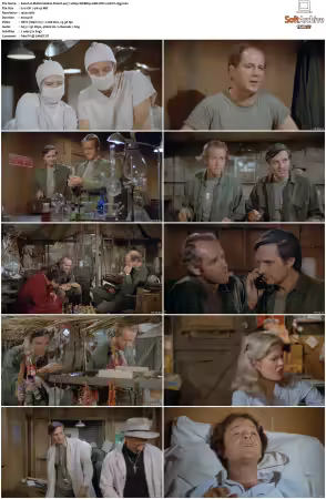M.A.S.H. S01-S11 1080p WEBRip 10Bit DD2.0 HEVC-d3g