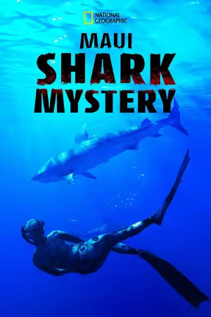 Maui Shark Mystery 2022 1080p WEB H264-JAVLAR