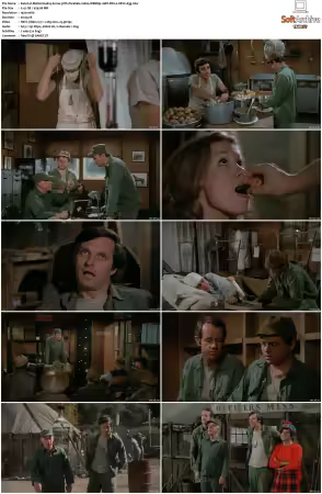 M.A.S.H S04 1080p WEBRip 10Bit DD2.0 HEVC-d3g