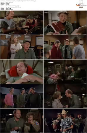 M.A.S.H. S01-S11 1080p WEBRip 10Bit DD2.0 HEVC-d3g