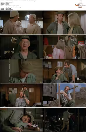M.A.S.H. S01-S11 1080p WEBRip 10Bit DD2.0 HEVC-d3g