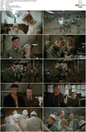 M.A.S.H. S01-S11 1080p WEBRip 10Bit DD2.0 HEVC-d3g