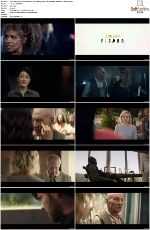 Star Trek Picard S01 1080p WEBRip 10Bit DDP5.1 HEVC-d3g