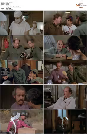 M.A.S.H. S01-S11 1080p WEBRip 10Bit DD2.0 HEVC-d3g