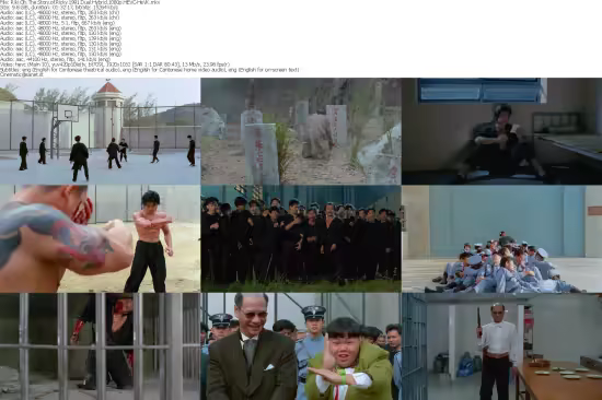 Riki Oh The Story of Ricky 1991 Dual Hybrid 1080p HEVC-HeVK