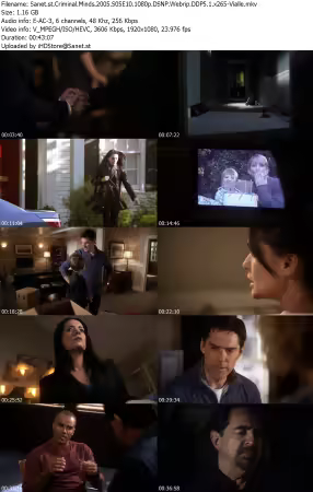 Criminal Minds 2005 S05E10 1080p DSNP Webrip DDP5 1 x265-Vialle