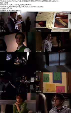 Criminal Minds 2005 S01E07 1080p DSNP Webrip DDP5 1 x265-Vialle