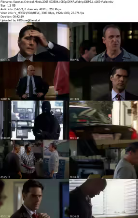 Criminal Minds 2005 S02E04 1080p DSNP Webrip DDP5 1 x265-Vialle