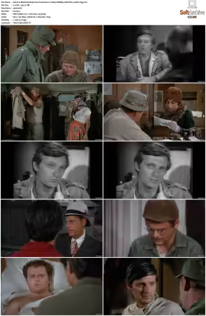 M.A.S.H. S01-S11 1080p WEBRip 10Bit DD2.0 HEVC-d3g