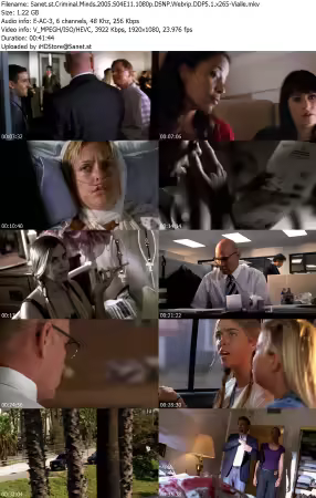 Criminal Minds 2005 S04E11 1080p DSNP Webrip DDP5 1 x265-Vialle