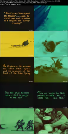 The Great White Silence 1924 1080p Bluray Opus 2.0 x264-RetroPeeps
