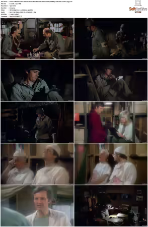 M.A.S.H. S01-S11 1080p WEBRip 10Bit DD2.0 HEVC-d3g