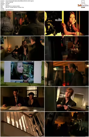 Veronica Mars S01-S04 1080p WEBRip 10Bit AAC2.0 HEVC-d3g