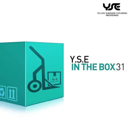 VA - Y.S.E. in the Box Vol.31 (2025)