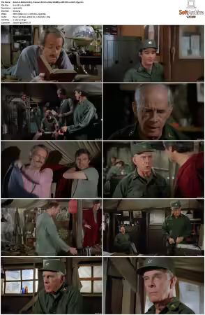 M.A.S.H S10 1080p WEBRip 10Bit DD2 0 HEVC-d3g