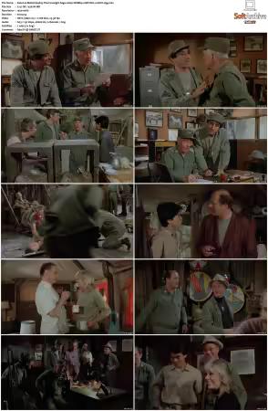 M.A.S.H. S01-S11 1080p WEBRip 10Bit DD2.0 HEVC-d3g