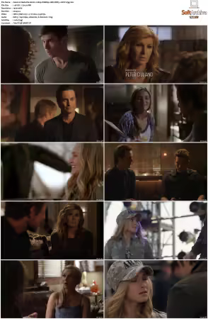 Nashville S02 1080p WEBRip 10Bit DDP5.1 HEVC-d3g