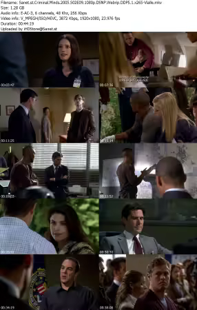 Criminal Minds 2005 S02E09 1080p DSNP Webrip DDP5 1 x265-Vialle