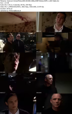 Criminal Minds 2005 S01E08 1080p DSNP Webrip DDP5 1 x265-Vialle