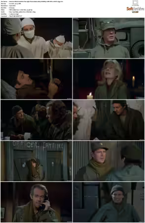 M.A.S.H. S01-S11 1080p WEBRip 10Bit DD2.0 HEVC-d3g