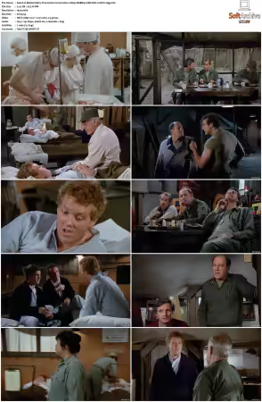 M.A.S.H S10 1080p WEBRip 10Bit DD2 0 HEVC-d3g