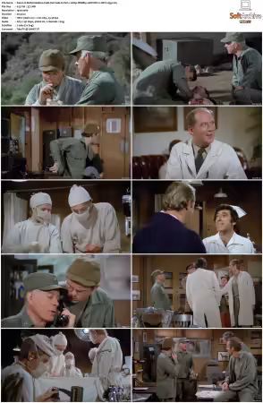 M.A.S.H S06 1080p WEBRip 10Bit DD2.0 HEVC-d3g